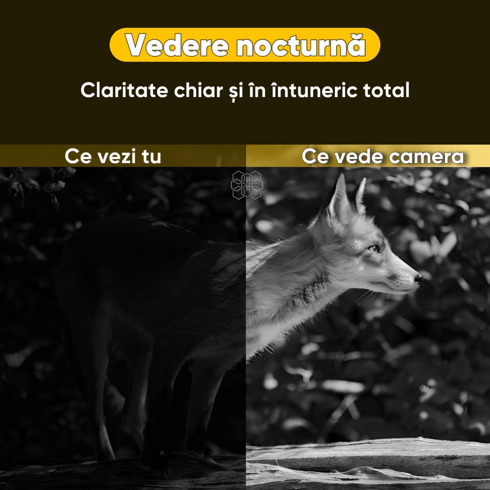 Camera de supraveghere Video CCTV cu vedere tripla, Panou solar 8000mAh, HexaEye